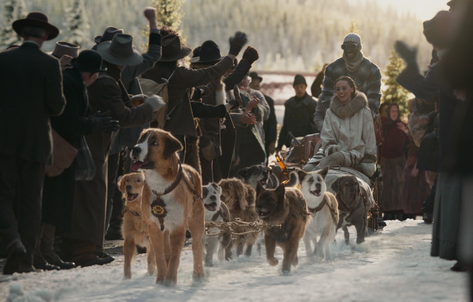 Film Avec Des Chiens De Traineaux Chiens de traîneau : entrez dans la meute
