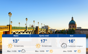 Météo Toulouse: Prévisions du lundi 10 mai 2021