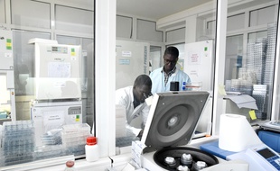 Des chercheurs de l'Institut Pasteur à Dakar font des tests sur le coronavirus le 3 février 2020.