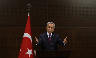 Bulent Arinç, le vice-Premier ministre turc, le 4 juin 2013, Ankara.