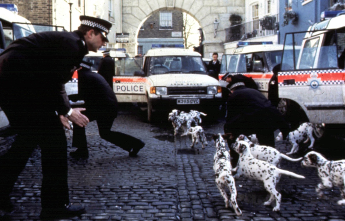 Introducir 100+ imagen un chien perdu peut il retrouver sa maison fr.thptnganamst.edu.vn