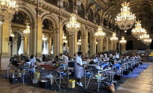 Confortablement installés, celles et ceux qui donnent leur sang peuvent contempler les hauts plafonds dorés des salons de l'Hôtel de Ville de Paris, où l'EFS organise une collecte jusqu'au 14 juin.