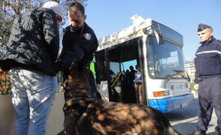 Le chien se faufile entre les passagers à la recherche, entre autres, d'armes.
