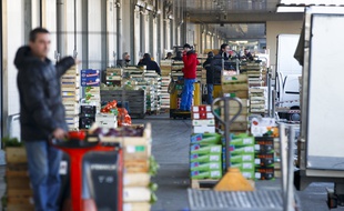 Toulouse, le 7 novembre 2012. Le marché des grossistes des fruits et légumes communément appelé le Marché d'Intérêt National.