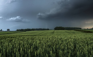 Un ciel menaçant avant un orage.