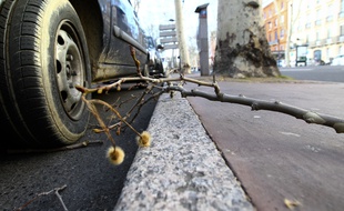 Toulouse, le 5 mars 2013. Fort vent dans le centre ville de toulouse.