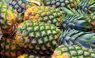 Illustration d'ananas.