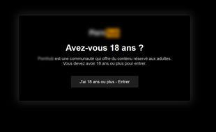 Un site porno bien flouté.