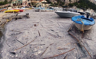 A photo taken on October 14, 2014 Le port de Morgiou. AFP PHOTO / BORIS HORVAT