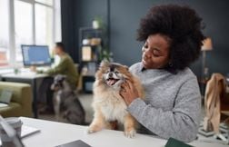 Pourquoi les chiens séduisent de plus en plus les entreprises ?