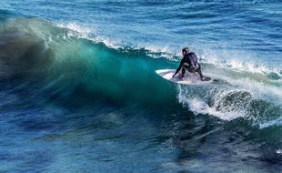 Un surfeur (illustration).