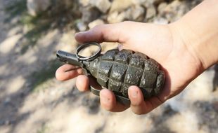 Illustration d'une grenade.