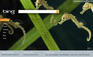 Bing, le nouveau moteur de recherche de Microsoft