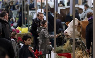 Jean-Marc Ayrault, est arrivé lundi vers 8H00 au 50ème Salon de l'agriculture, où il compte passer quelques heures en compagnie des professionnels du secteur.
