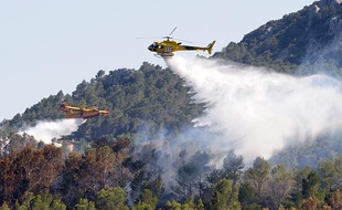 Un hélicoptère et un canadair tentent d'éteindre l'incendie qui ravage le nord-est de l'Espagne, à Boadella d'Empordà, le 24 juillet 2012.