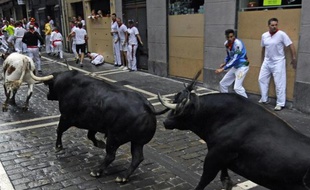 Lâcher de taureaux dans les rues de Pampelune, à l'occasion de la San Fermin, en Espagne le 9 juillet 2014