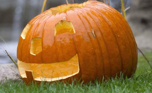 Illustration d'une citrouille d'Halloween.