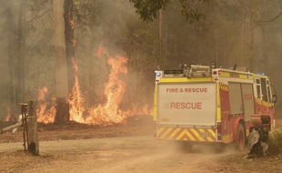 Des incendies ravagent les terres à 350 kilomètres de Sydney, le 15 novembre 2019.