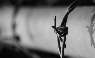 "Soudain, en regardant les fils de barbelé de l’autre petite fenêtre, une idée me vint."