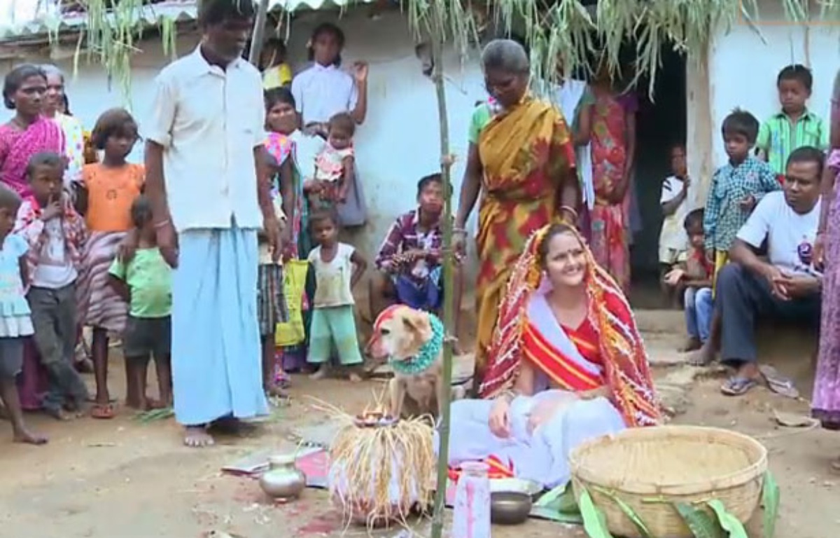 Inde Elle se marie avec un chien pour conjurer le mauvais sort