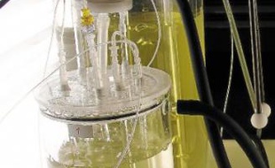 Un système de culture des micro-algues assisté par ordinateur utilisé en labo.
