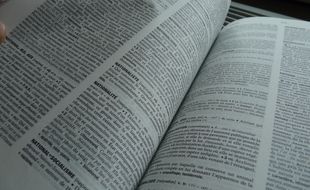 Illustration dictionnaire.