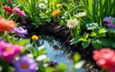 Adoptez cette astuce facile avant la prochaine vague de chaleur : un jardin frais et sans arrosage tout l’été grâce à une zone de rétention végétalisée