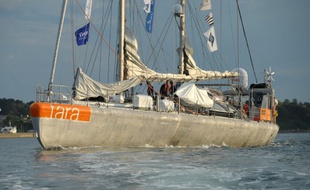 La goélette Tara quittant le port de Lorient en mai 2016.