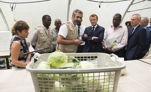 Emmanuel Macron devant de la contamination au Chlordécone
