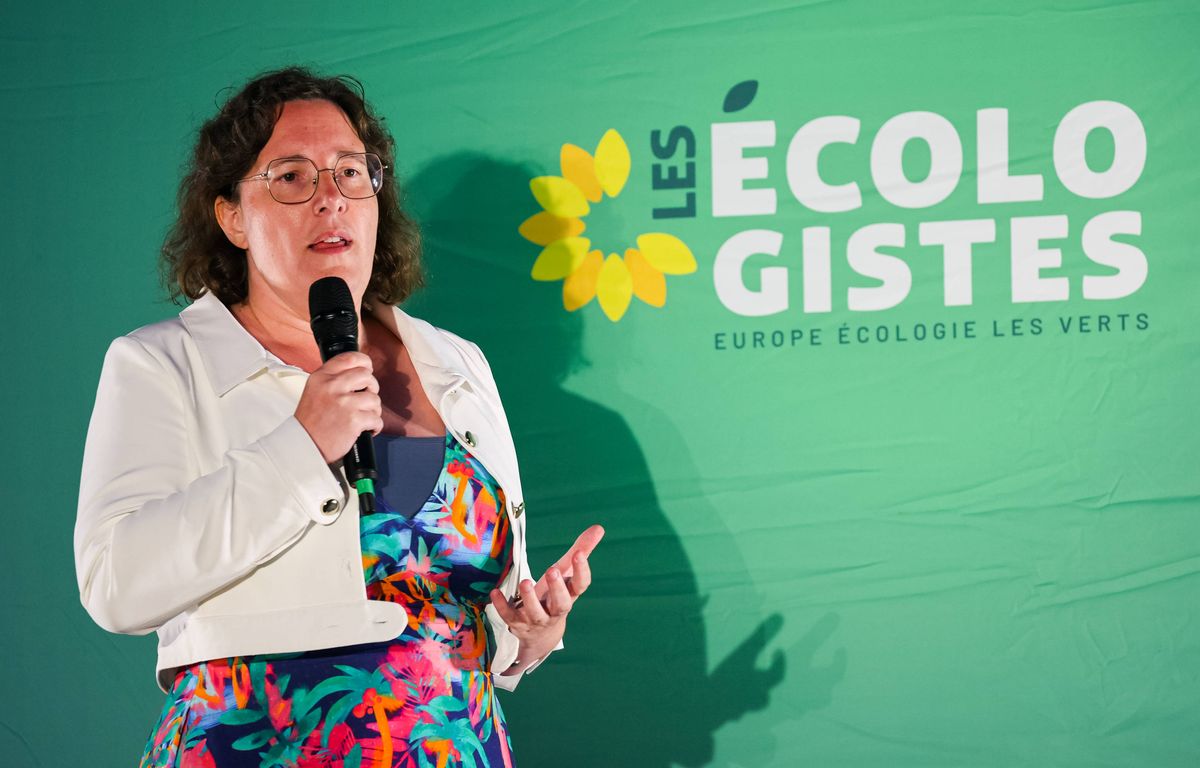 Vote de confiance : Les écologistes réclament un gouvernement « de toute la gauche » et pas seulement PS