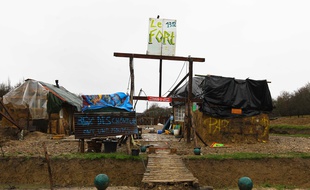 Une des parcelles occupées par les zadistes./Credit:FRED SCHEIBER/SIPA/1412300911