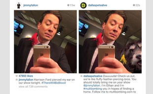 Capture d'écran du site #Muttbombing.com montrant le selfie de Jimmy Fallon avant et après avoir été modifié par l'association Dallas Pets ALive.