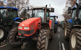 Les agriculteurs de la FDSEA lors d'une précédente manifestation. Illustration