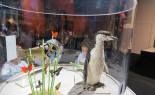 L'exposition Bébés animaux a ouvert au mois d'octobre