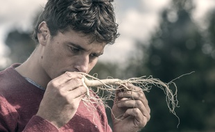 Yannick Jauzion dans un champs de ginseng.
