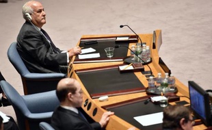 Le représentant palestinien auprès de l'ONU, Riyad Mansour, le 31 juillet 2014 lors d'un Conseil de sécurité à New York