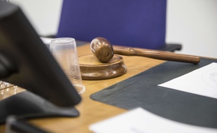 La cour européenne des droits de l'homme