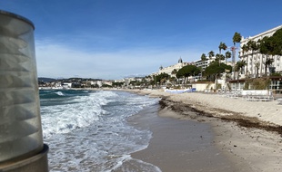Sur le boulevard de la Croisette, en début de semaine, la houle venait à nouveau chahuter le bandeau de sable
