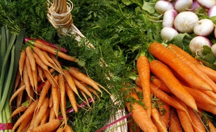 Des bottes de carottes.