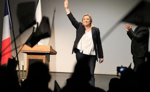 La présidente du Front national, Marine Le Pen, lors d'un meeting à Ajaccio, en Corse, le 28 novembre 2015