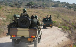 Des soldats de l'armée camerounaise en patrouille aux environs de Mabass dans le nord du Cameroun, le 17 février 2014