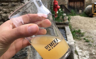 Dans l'Aude, la brasserie Sylvatica crée des bières avec la nature qu'il l'entoure