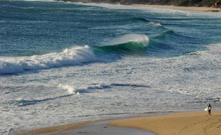 L'Australie a donné mardi son feu vert à l'élimination des requins repérés à proximité des plages très fréquentées de la côte ouest après une série d'attaques mortelles, une décision vivement critiquée par les écologistes.