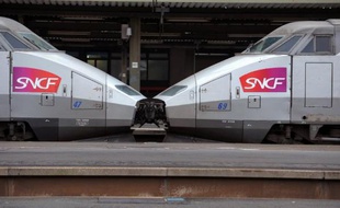 L'année 2014 devrait être une année difficile pour la SNCF, avec notamment une poursuite de la baisse de rentabilité de sa principale activité, le TGV, et le transporteur devrait supprimer 1.432 postes l'an prochain, par le non-remplacement de départs en retraite, affirme dimanche le journal Les Echos.