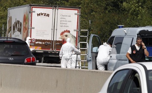 Forensic officers stand in front of a truck inside which were found a large number of dead migrants on a motorway near Neusiedl am See, Austria, on August 27, 2015. The vehicle, which contained between 20 and 50 bodies, was found on a parking strip off the highway in Burgenland state, police spokesman Hans Peter Doskozil said at a press conference with Interior Minister Johanna Mikl-Leitner. AFP PHOTO / DIETER NAGL