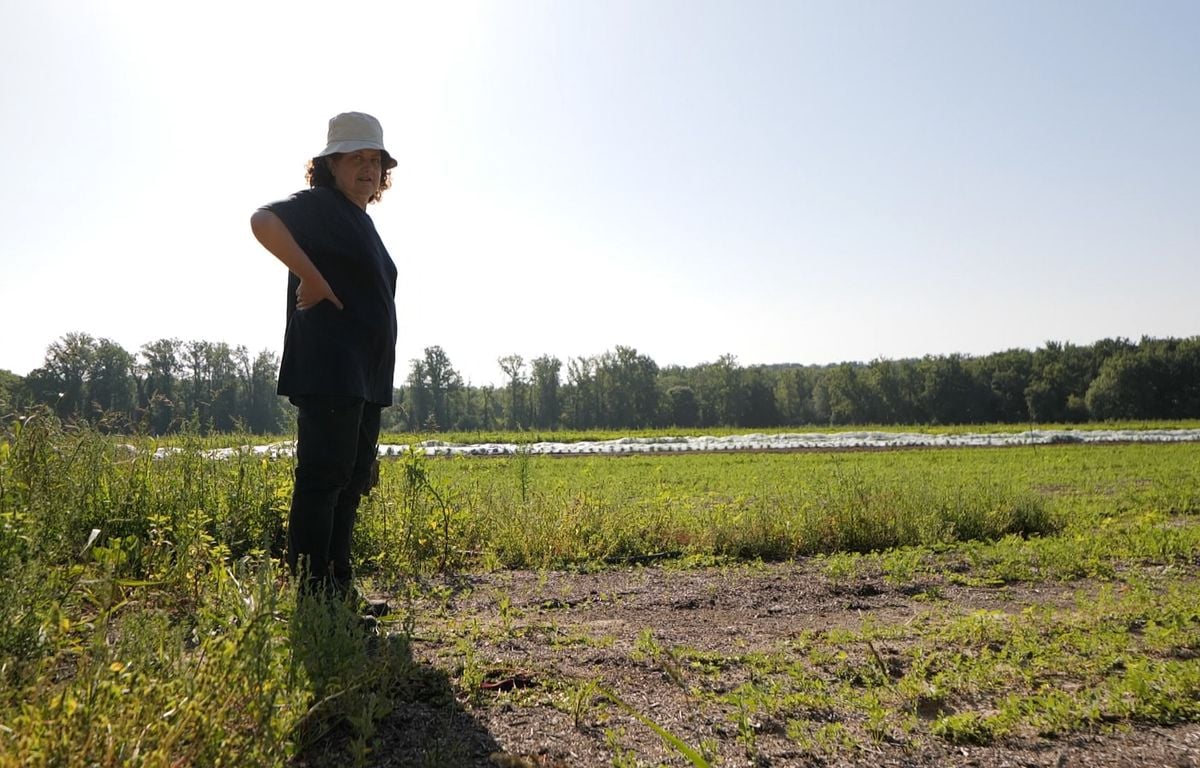 Loi Duplomb : « Il faut exploiter toutes les solutions »... Pour Hélène, agricultrice, signer la pétition était évident