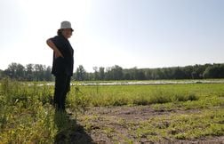Pour Hélène, agricultrice, signer la pétition contre la loi Duplomb était u…