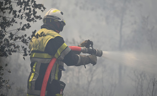 Un pompier luttant contre un feu de forêt (illustration).