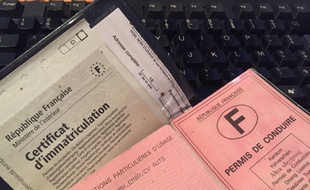 Un permis de conduire et une carte grise. (Illustration)