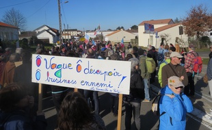 Manifestation contre le projet de surf park à Saint-Père-en-Retz, le 24 février 2019